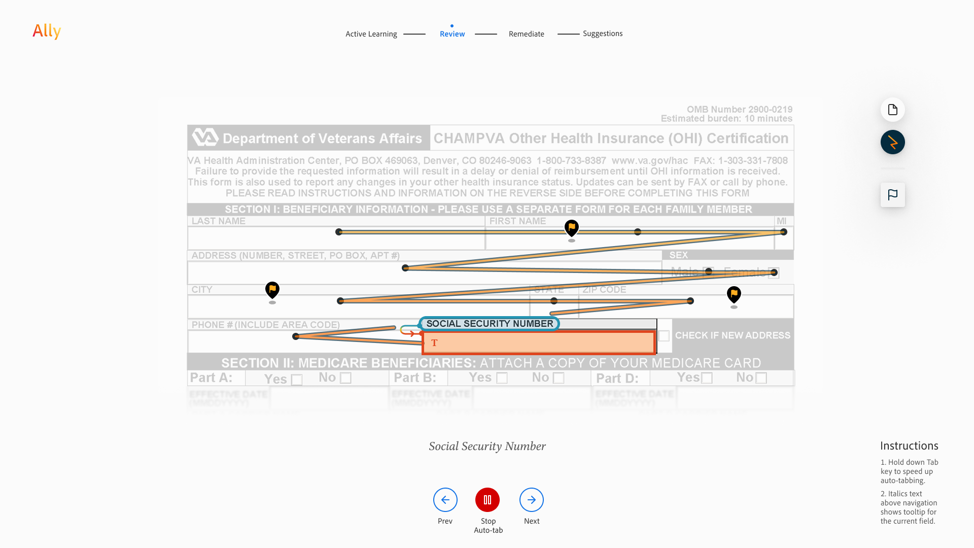 Auto-move review step highlighting one Social Security Number field with flags across the form